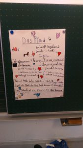 Ich Bin Der Experte Grundschule Pauluszell